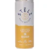 Stëlz Hard Seltzer Mango 25 cl